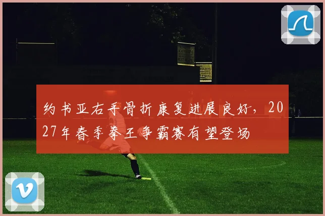 约书亚右手骨折康复进展良好,2027年春季拳王争霸赛有望登场